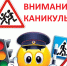 - 22 декабря в Новочебоксарске стартует профилактическое мероприятие «Внимание – каникулы!»:  Безопасность внимание: каникулы - Газета Грани