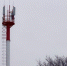Эксперты назвали лидеров рынка Private LTE в 2025 году - Министерство информационной политики