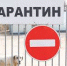 - В одном из районов Чувашии введен карантин по бешенству:  карантин бешенство животных - Газета Грани