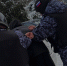 Сотрудники вневедомственной охраны Росгвардии пресекли драку в одном из баров Чебоксар - Росгвардия