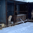 img - ЛДПР
