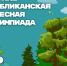 До 6 февраля принимаются заявки на участие в лесной олимпиаде для юных экологов Чувашии - Министерство природных ресурсов и экологии