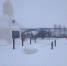img - ЛДПР