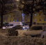 img - ЛДПР