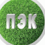 Вниманию природопользователей: отчет ПЭК важно сдать до 25 марта! - Министерство природных ресурсов и экологии