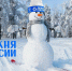 - Все на лыжню!  Стартует «Лыжня России-2026»:  Лыжня России-2026 - Газета Грани