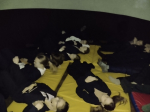 В городе Ядрин рассказали как стать космонавтом и ознакомили о деятельности героев космоса вне Земли