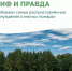 МИФ и ПРАВДА: разбираем самые распространенные заблуждения о лесных пожарах - Минсельхоз Чувашии