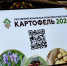- Выставка "Картофель-2026" соберёт в Чувашии 78 организаций из 18 регионов:  Картофель-2026 - Газета Грани