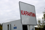 О ситуации с пастереллезом в Батыревском муниципальном округе