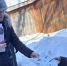 В Козловском центре проверили качество социальных услуг на дому - Министерство труда и соцзащиты