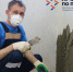 - В Чувашии стартовал региональный этап конкурса «Лучший по профессии»: лучшие каменщики и отделочники поборются за победу: - Газета Грани