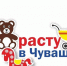 Итоги предоставления выплат в рамках региональной программы по повышению рождаемости за первый квартал 2026 года - Министерство труда и соцзащиты
