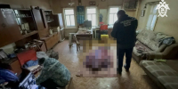 Житель Мариинско-Посадского округа признан виновным в убийстве отца - Следственное управление