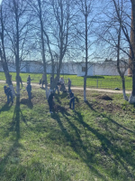 IMG_20260508_072548.png