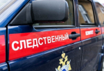В Республике Чувашия задержан мужчина, подозреваемый в убийстве сестры