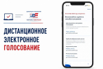 Стартовал прием заявлений на участие в дистанционном электронном голосовании