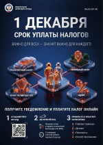 Срок уплаты имущественных налогов за 2025 год — до 1 декабря