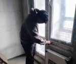 JPG Файл